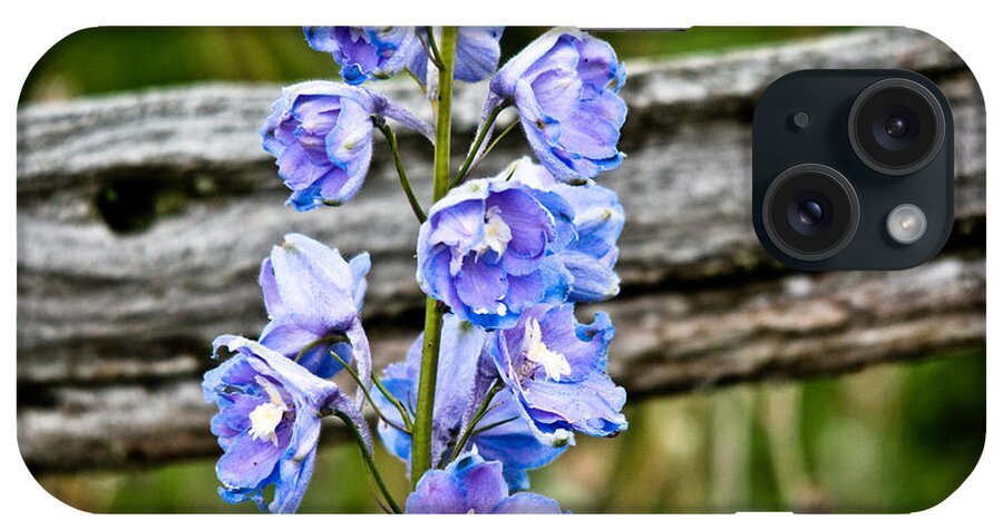  iPhone Case featuring the photograph Rustic Delphinium by Cheryl Baxter