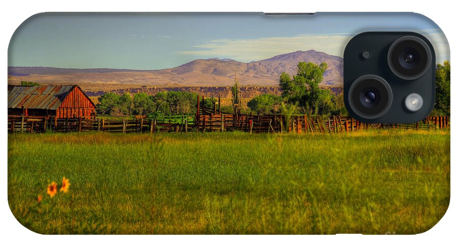 Cow Corall iPhone Case featuring the photograph Rustic Ranch by Kelly Wade