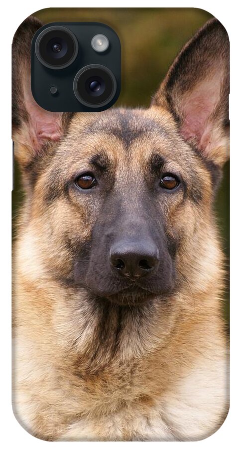 German Shepherd iPhone Case featuring the photograph Sable German Shepherd Dog by Sandy Keeton