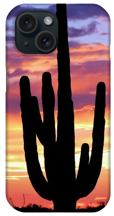 Saguaro iPhone Case featuring the photograph Saguaro at Sunset by Elizabeth Budd