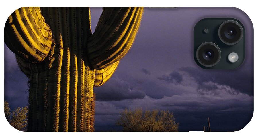 American Southwest iPhone Case featuring the photograph Saguaro cactus sunset at dusk Arizona State USA by Jim Corwin