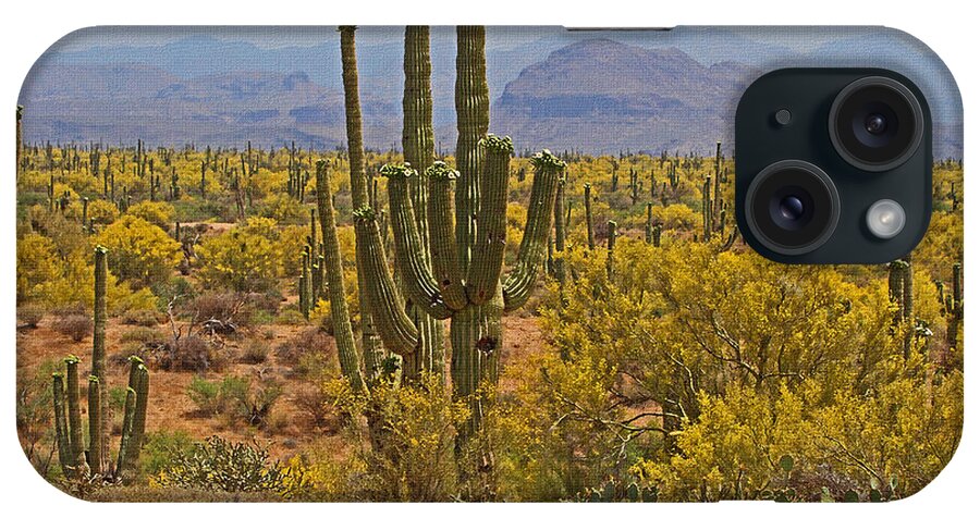 Saguaro In Bloom With Palo Verde Trees iPhone Case featuring the photograph Saguaro In Bloom With Palo Verde Trees At The Rolls Below Four Peaks by Tom Janca
