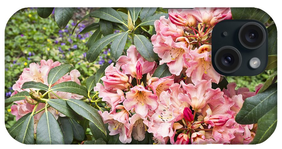 Floral iPhone Case featuring the photograph Salmon Colored Rhododendron by Priya Ghose