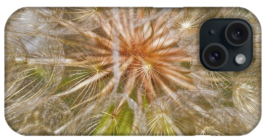 Close Up iPhone Case featuring the photograph Salsify Seeds Wilbur, Oregon, United by Robert L. Potts
