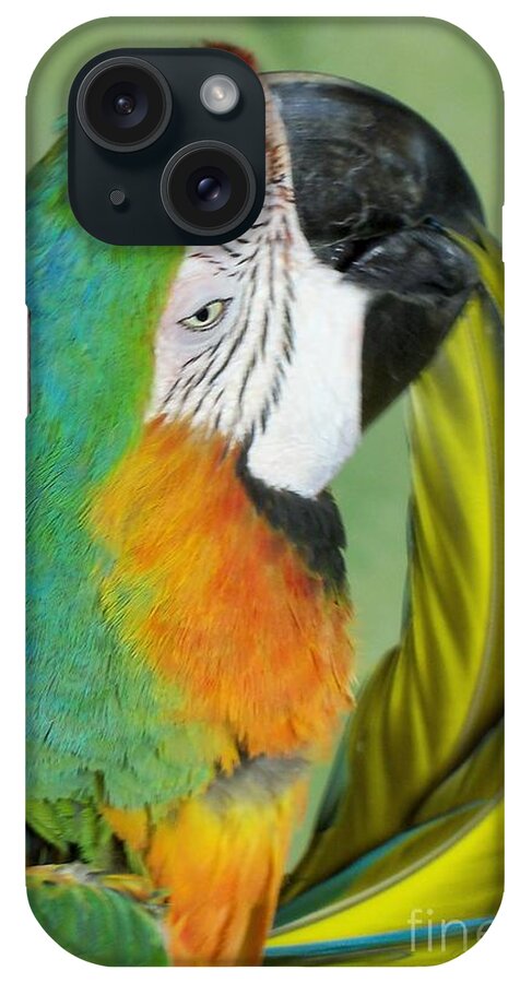 Exotic Birds iPhone Case featuring the photograph Salute I Am Blowing You A Kiss by Lingfai Leung