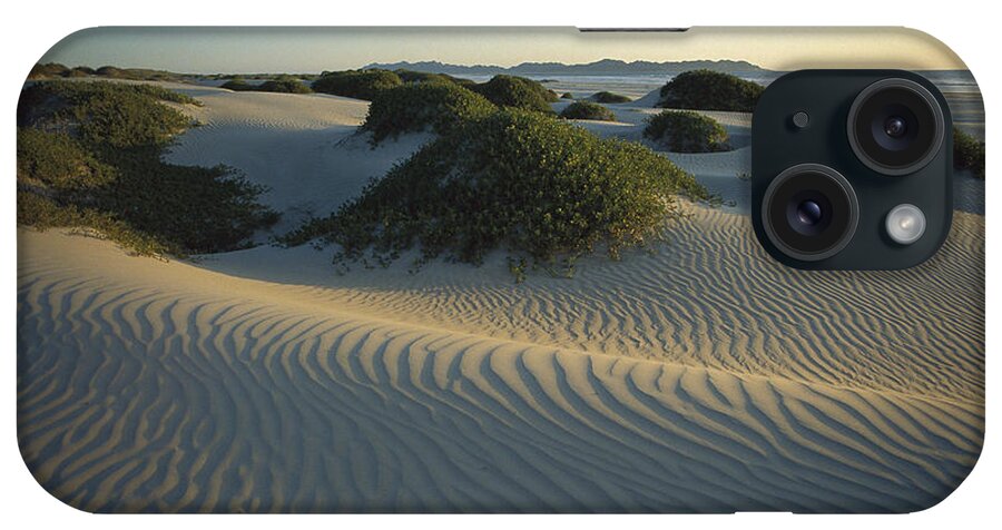 Feb0514 iPhone Case featuring the photograph Sand Dunes Magdalena Island Baja by Tui De Roy