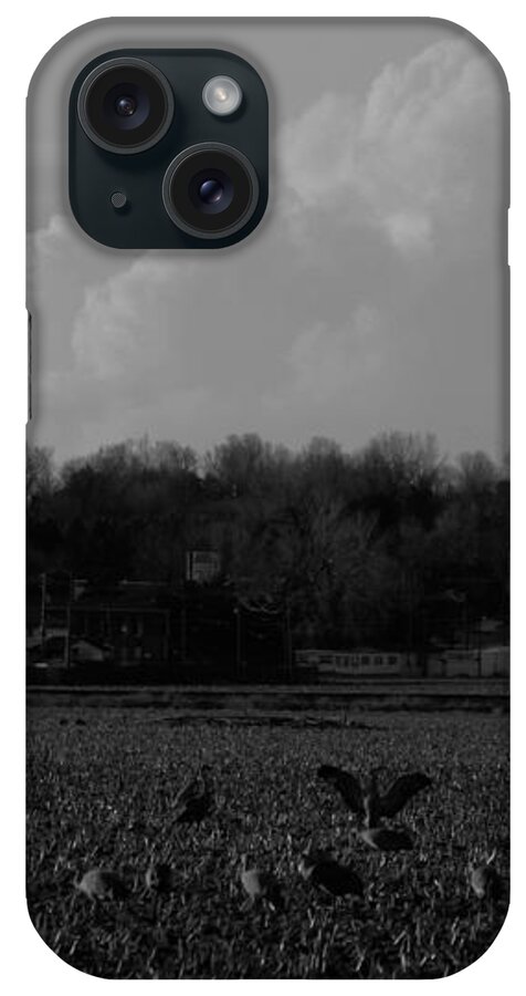 Stormscape iPhone Case featuring the photograph Sand Hill Cranes with Nebraska Thunderstorm by NebraskaSC