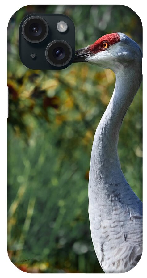 Crane iPhone Case featuring the photograph Sandhill Crane Profile by DigiArt Diaries by Vicky B Fuller