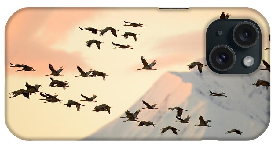 00345404 iPhone Case featuring the photograph Sandhill Cranes And Mt Denali At Sunrise by Yva Momatiuk John Eastcott