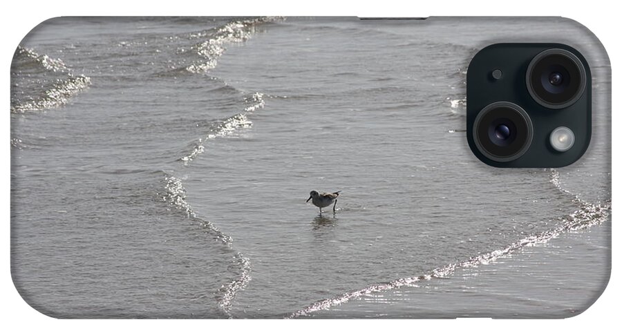 Bird iPhone Case featuring the photograph Sandpiper In Water by Jerry Bunger