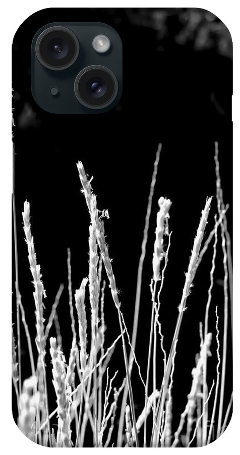 Digital Black And White Photo iPhone Case featuring the digital art Santa Fe Grass 1 BW by Tim Richards