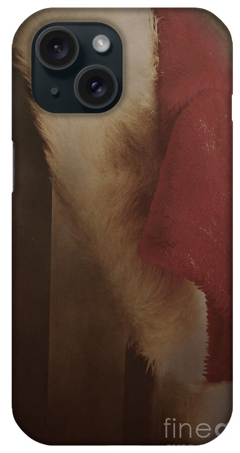 Christmas iPhone Case featuring the photograph Late Night Visitor by Pam Holdsworth