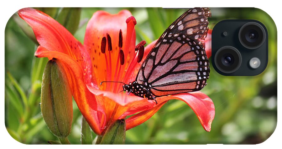 Saskatchewan iPhone Case featuring the photograph Saskatchewan Prairie Lily and Butterfly by Ryan Crouse
