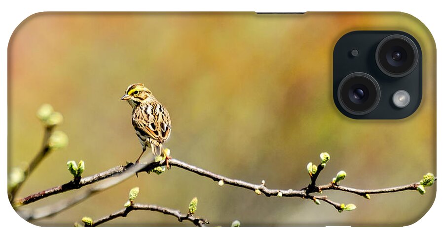 Savannah Sparrow iPhone Case featuring the photograph Savannah Sparrow Impression by Ilene Hoffman