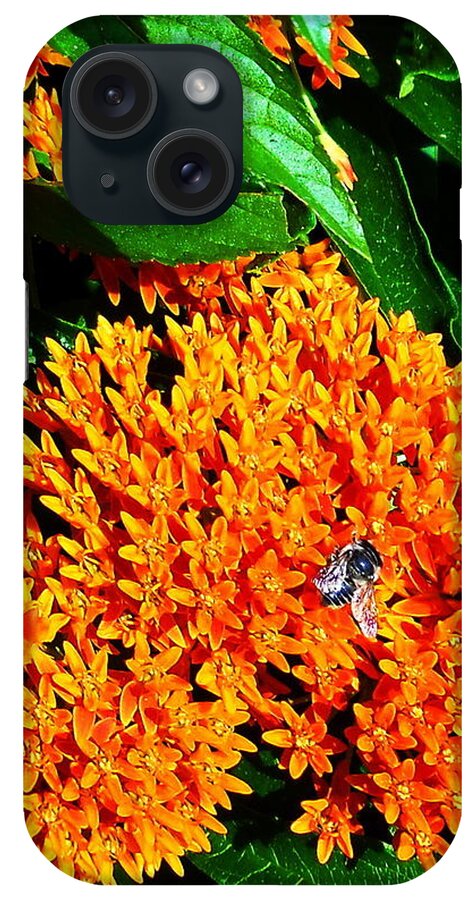 Butterfly Bush iPhone Case featuring the photograph Save Our Bees by Yolanda Raker