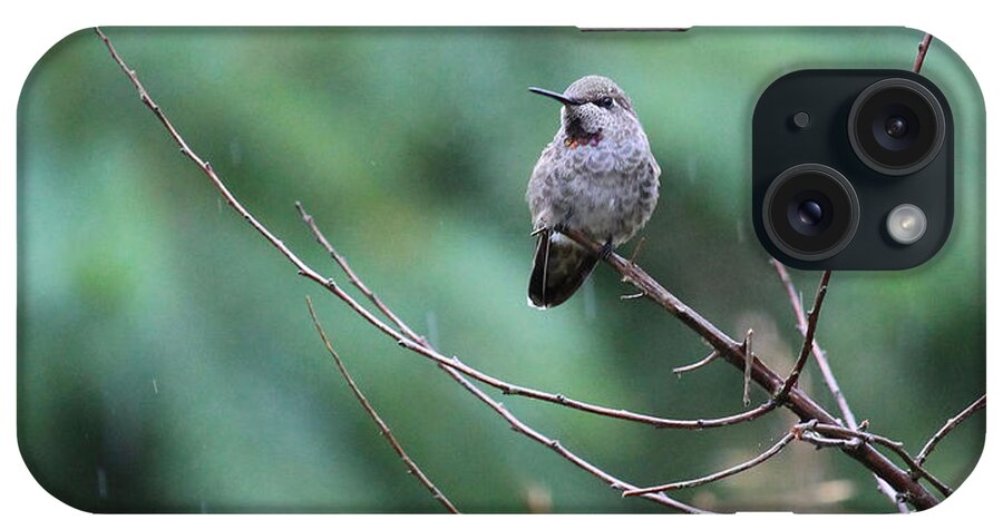 Birds iPhone Case featuring the photograph Savoring Rain by Rory Siegel