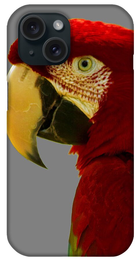 Macaw iPhone Case featuring the photograph Scarlet Macaw by Bill Barber