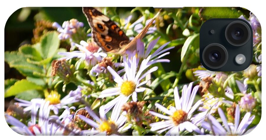 Schoodic Point iPhone Case featuring the photograph Schoodic Butterfly by Lena Hatch