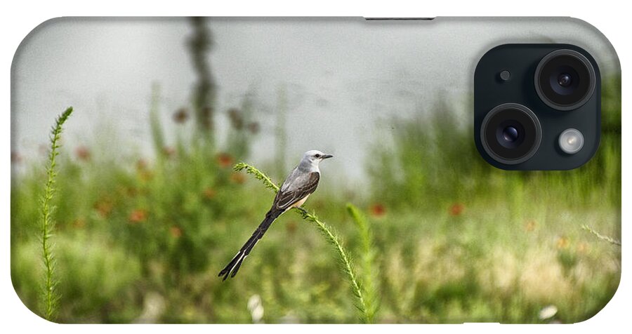 Scissor-tailed Flycatcher (tyrannus Forficatus) iPhone Case featuring the photograph Scissor-Tailed Flycatcher V5 by Douglas Barnard