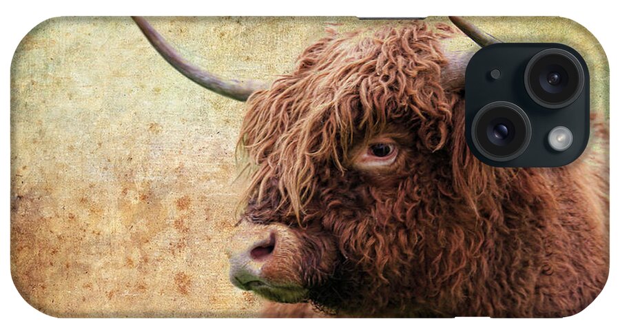 Scottish Highland Bull iPhone Case featuring the photograph Scottish Highland Steer by Steve McKinzie