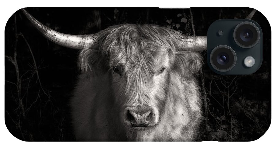 Animals iPhone Case featuring the photograph Scottish Highlander Bull by Robert FERD Frank