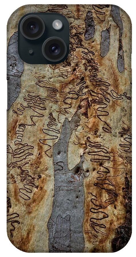 Trees iPhone Case featuring the photograph Scribbly Gum Art Portrait E by Peter Kneen