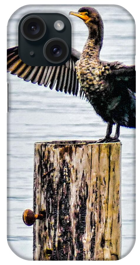 Cormant iPhone Case featuring the photograph Sea Bird by Ron Roberts