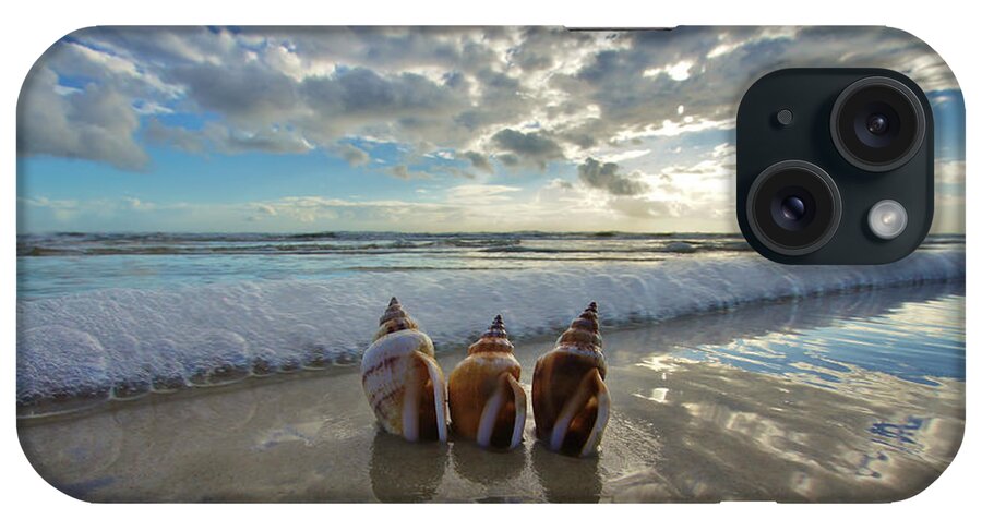 Sunrise iPhone Case featuring the photograph Sea Crown Jewels by Danny Mongosa