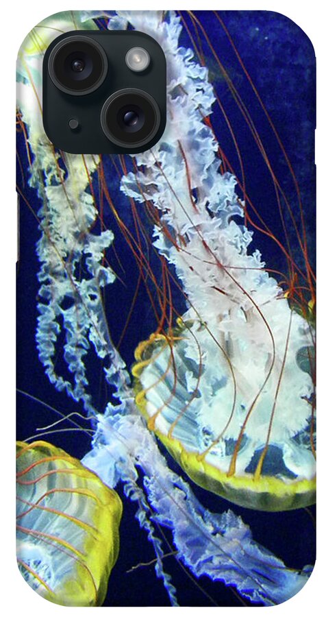 Jellyfish iPhone Case featuring the photograph Sea Dance by Elizabeth Hoskinson