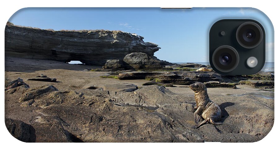 Isla San Salvador iPhone Case featuring the photograph Sea Lion Pup relaxing in Egas Port by Brian Kamprath