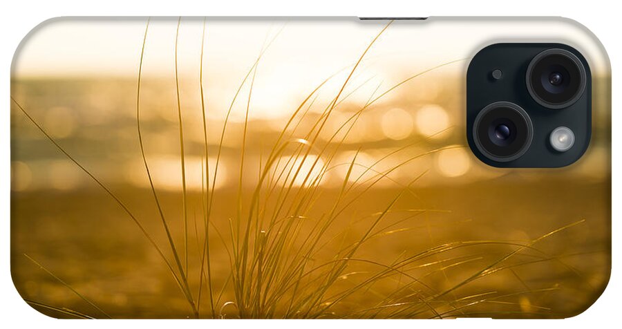 Michigan iPhone Case featuring the photograph Sea Oats Sunset by Sebastian Musial