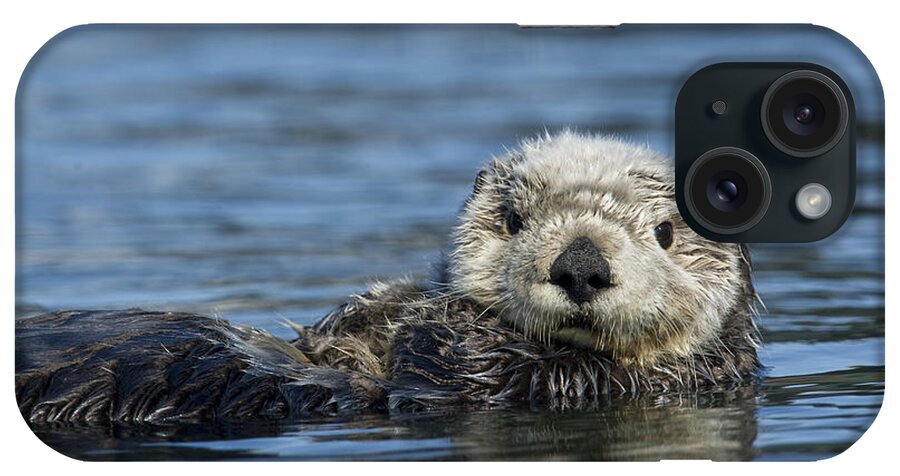 Michael Quinton iPhone Case featuring the photograph Sea Otter Alaska by Michael Quinton