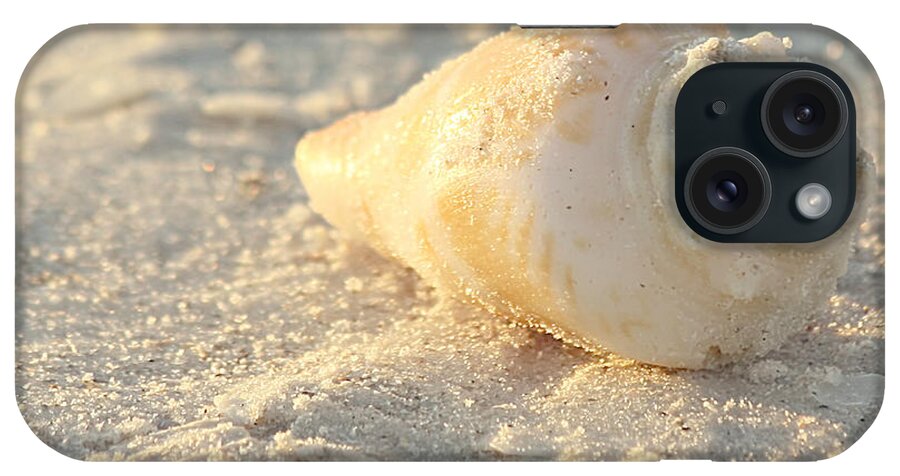 Nature iPhone Case featuring the photograph Sea Shells by Kim Hojnacki