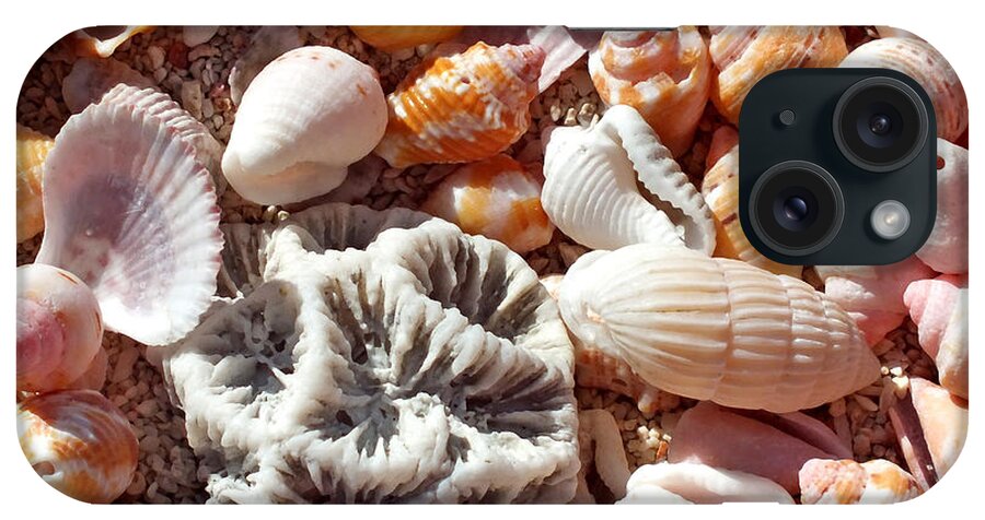 Duane Mccullough iPhone Case featuring the photograph Sea Shells Upclose 5 by Duane McCullough