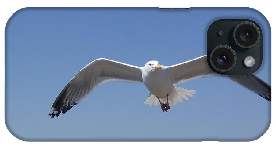 Seagull iPhone Case featuring the photograph Seagull 9 by Robert Nickologianis