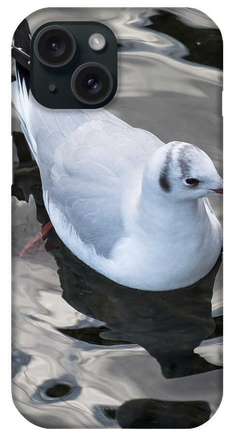 Seagull iPhone Case featuring the photograph Seagull And Water Reflections by Andreas Berthold