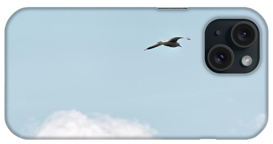 Seagull iPhone Case featuring the photograph Seagull Flying High by Leif Sohlman