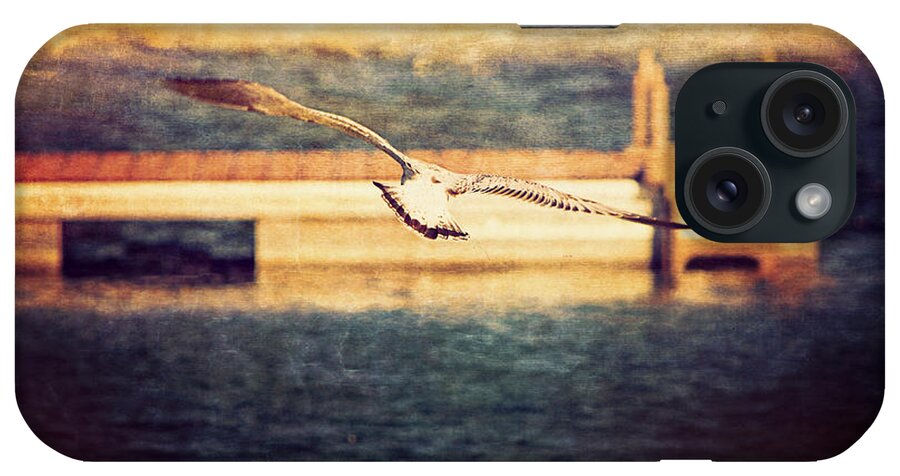 Seagull iPhone Case featuring the photograph Seagull Flying by Maria Angelica Maira