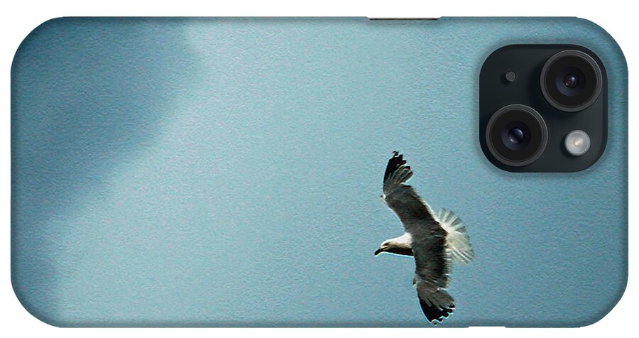 Bird iPhone Case featuring the photograph Seagull in Flight by Aimee L Maher ALM GALLERY