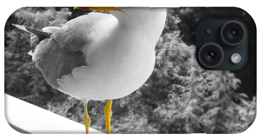 Seagull iPhone Case featuring the photograph Seagull by Rumiana Nikolova