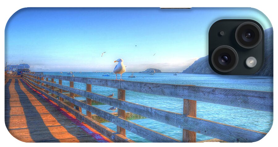 Seagulls iPhone Case featuring the photograph Seagulls and Ocean by Mathias 