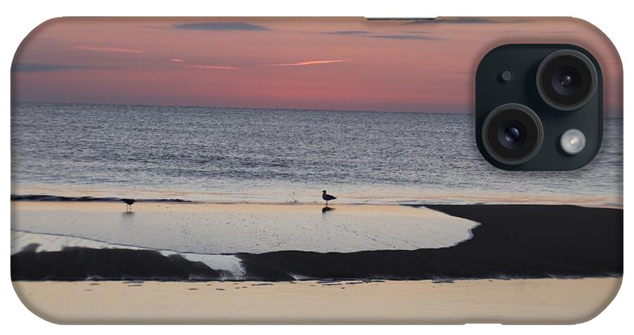 Animals iPhone Case featuring the photograph Seagulls on the Seashore by Robert Banach