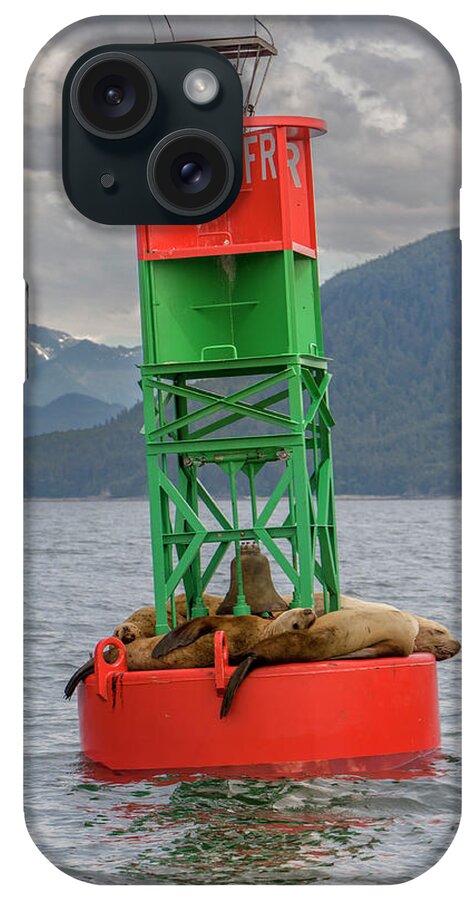 Alaska iPhone Case featuring the photograph Seals Resting On Buoy by Tom Norring