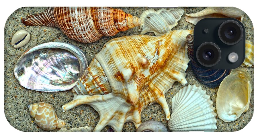 Seashells iPhone Case featuring the photograph Seashells Collection by Sandi OReilly