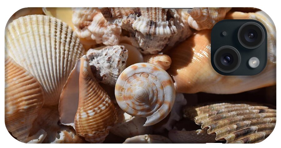 Sanibel iPhone Case featuring the photograph Seashells by Curtis Krusie