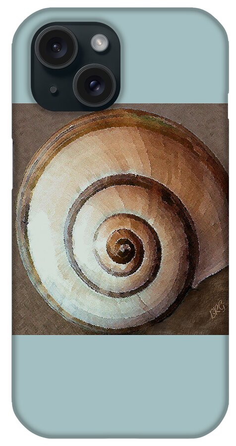 Seashell iPhone Case featuring the photograph Seashells Spectacular No 34 by Ben and Raisa Gertsberg