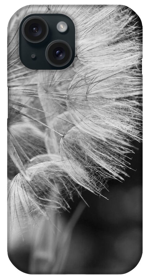 Seed iPhone Case featuring the photograph Seed Head Study in Black and White by Denise McLaurin