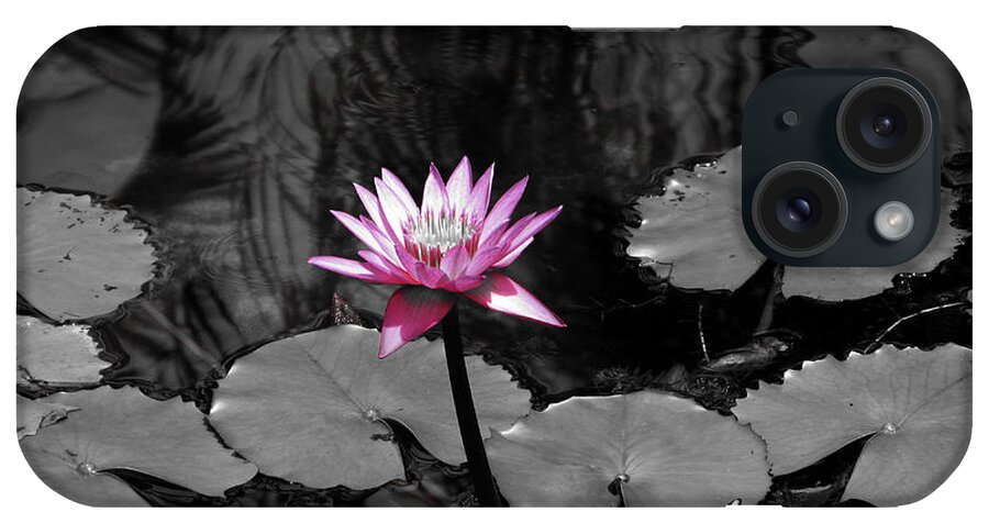 Lily iPhone Case featuring the photograph Selective Lily by Oscar Alvarez Jr