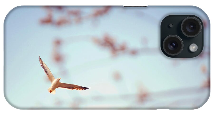 Bird iPhone Case featuring the photograph Sense of Spring. Pink Spring in Amasterdam by Jenny Rainbow