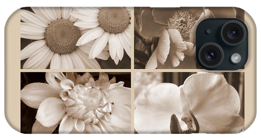 Daisy iPhone Case featuring the photograph Sepia Beauties by Eunice Miller